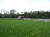 pasture